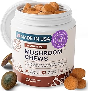 Turkey Tail Mushroom Chews for Dogs' Immunity and Support