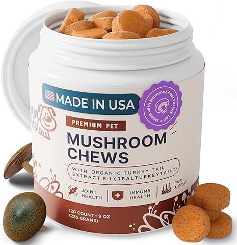 Turkey Tail Mushroom Chews for Dogs' Immunity and Support