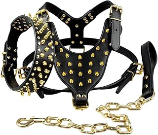 Black Leather Dog Collar, Leash & Harness Set