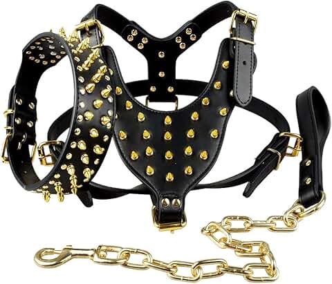 Black Leather Dog Collar, Leash & Harness Set