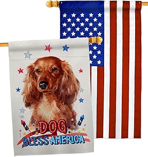 Patriotic Dachshund House Flag for Garden or Yard