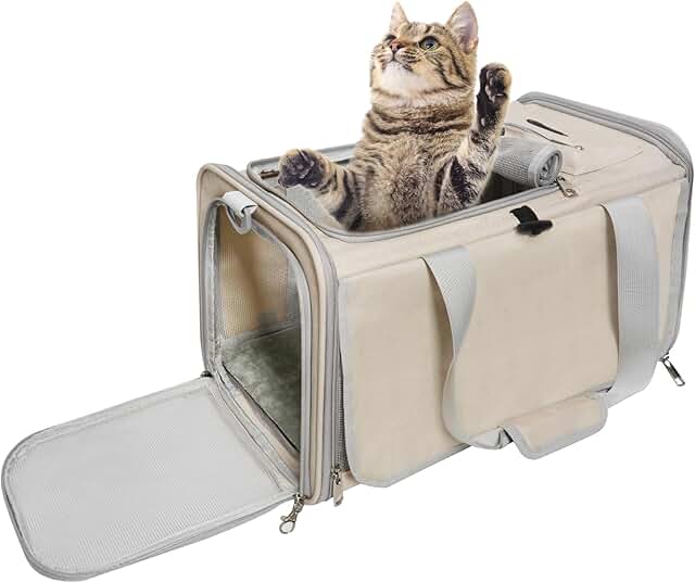 Soft-Sided Cat and Small Dog Travel Carrier for Underseat Cabin