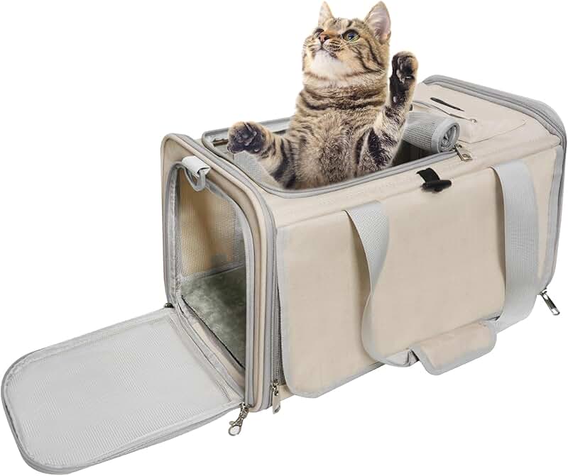 Soft-Sided Cat and Small Dog Travel Carrier for Underseat Cabin