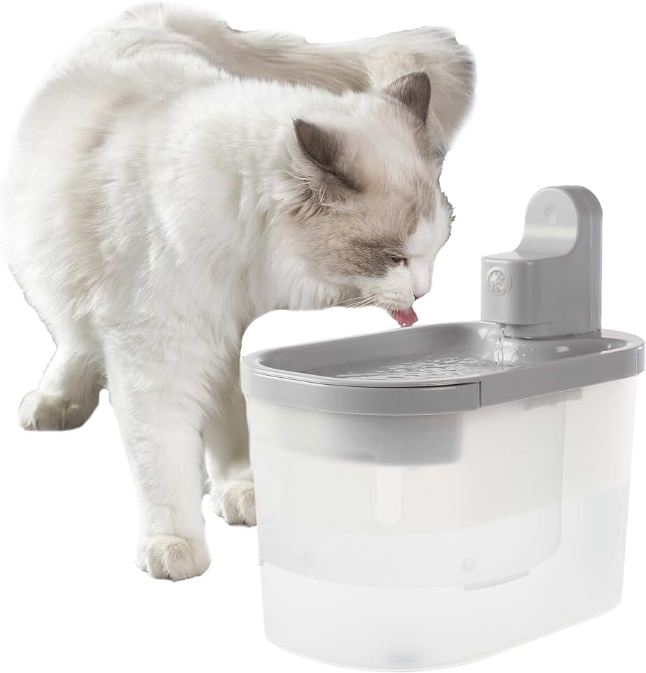 Wireless Cat Water Fountain with Motion Sensor