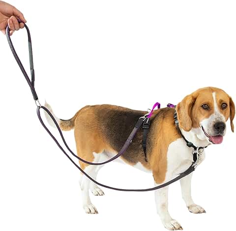 Dog Harness and Leash Set for Easy Walking and Training