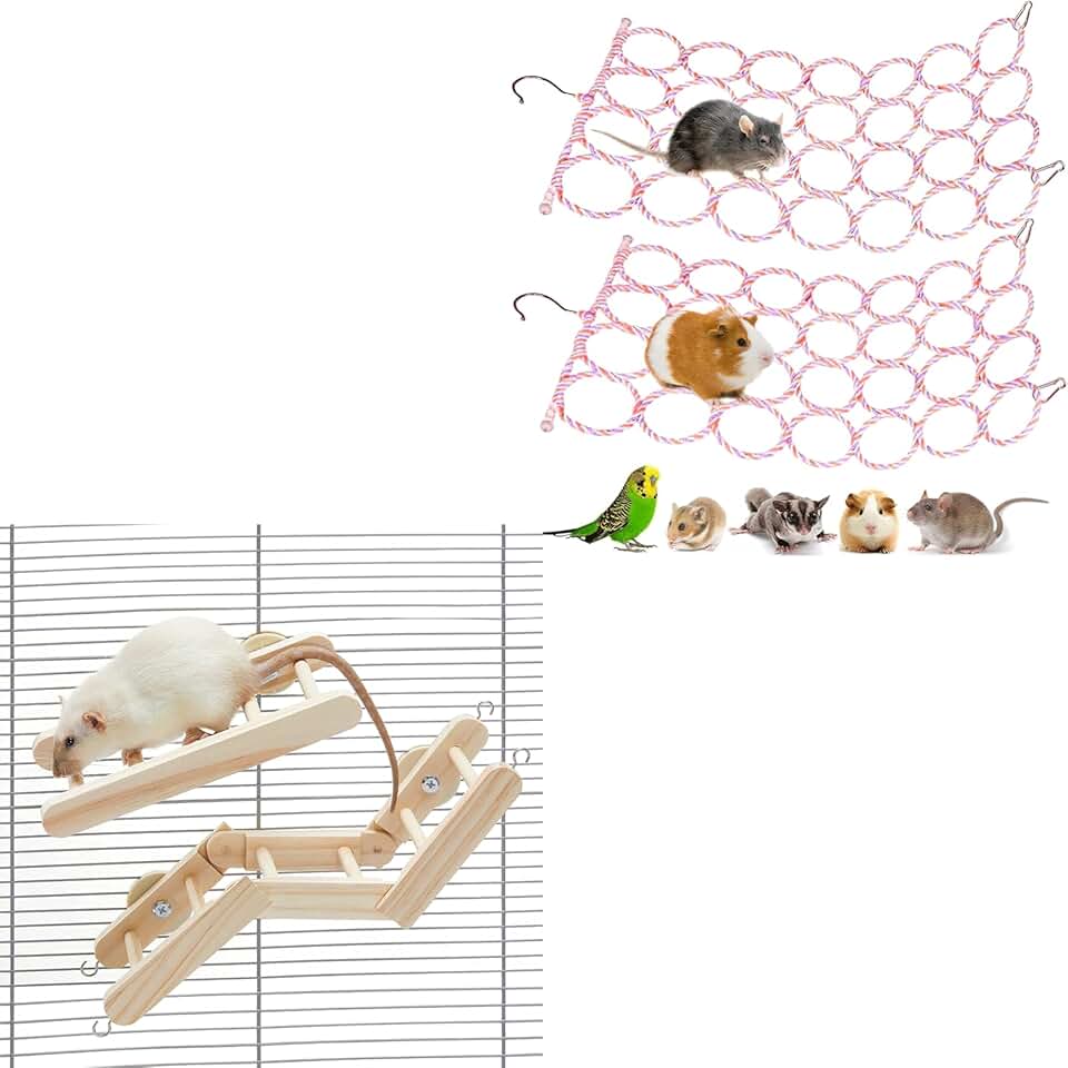 Rat Climbing Activity Set with Rope Net, Ladder, Bridge, and Platforms