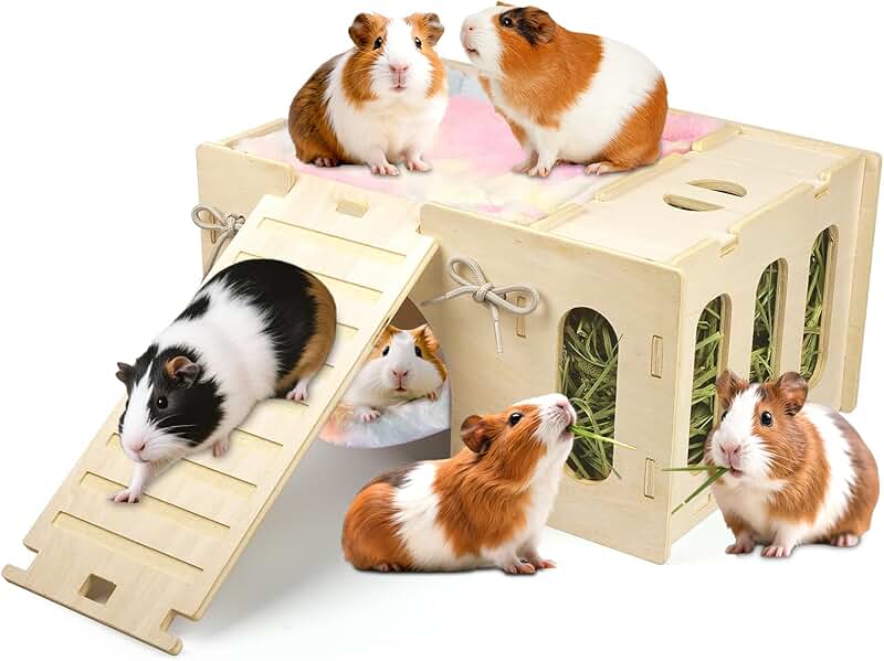 4-in-1 Guinea Pig Hideout with Castle, Hay Feeder, Hammock, and Ramp