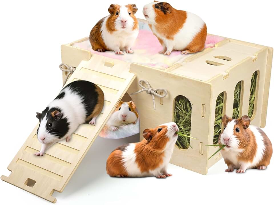 4-in-1 Guinea Pig Hideout with Castle, Hay Feeder, Hammock, and Ramp