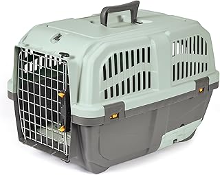 Plastic Cat Carrier with Built-in Litter Pan