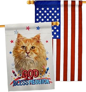 Patriotic Ginger Cat House Flag for Garden or Yard