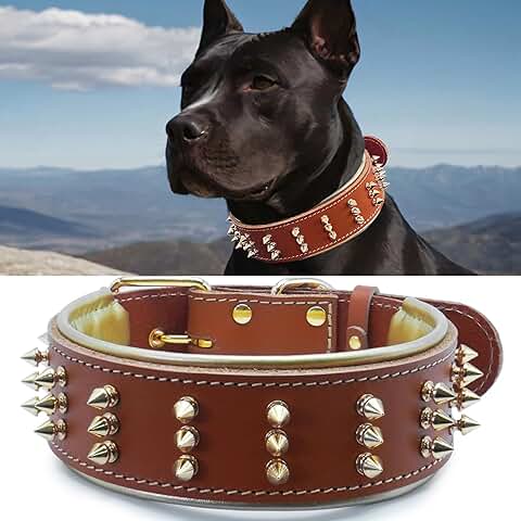 Spiked Leather Dog Collar for Strong Breeds, Orange