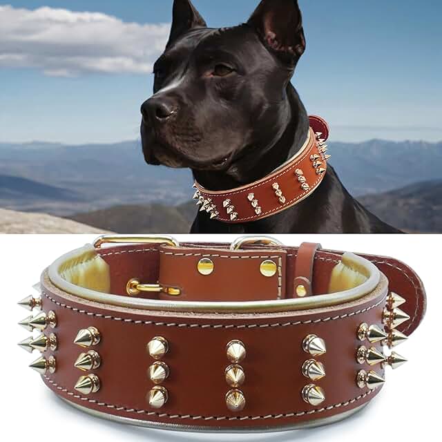 Spiked Leather Dog Collar for Strong Breeds, Orange