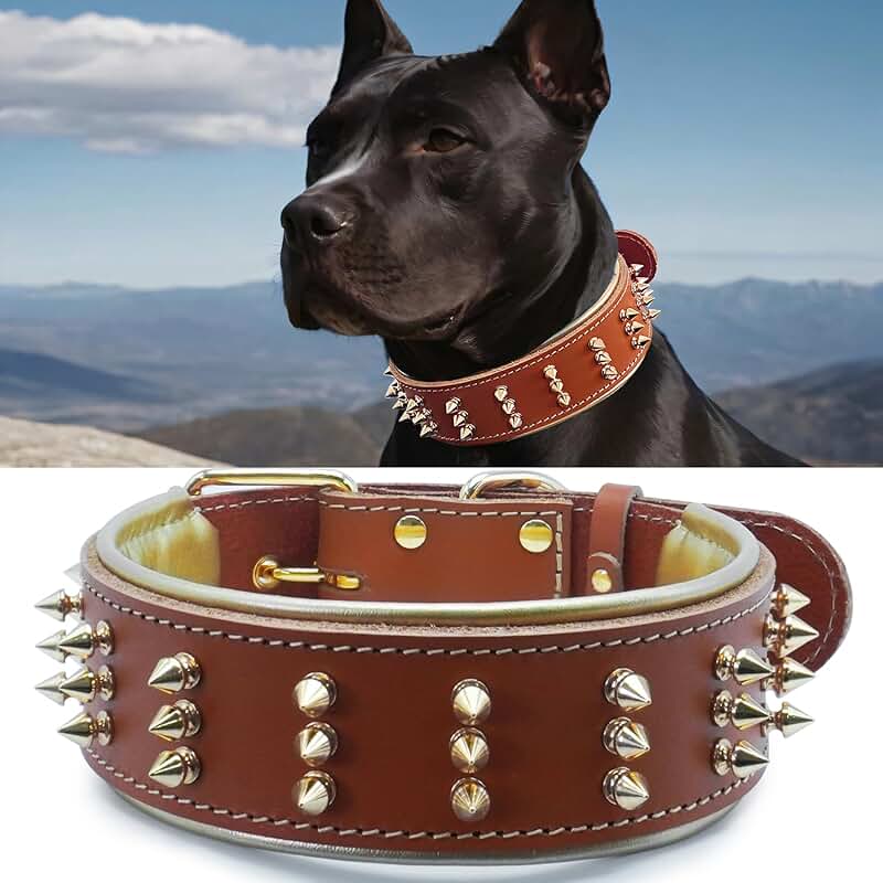 Spiked Leather Dog Collar for Strong Breeds, Orange