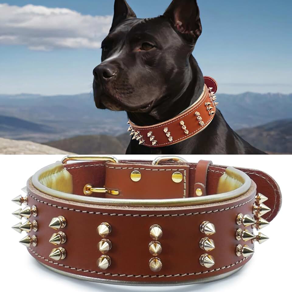 Spiked Leather Dog Collar for Strong Breeds, Orange