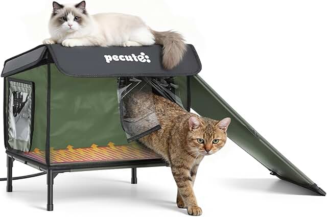 Winter Cat Heating Bundle: Heated House and Pad