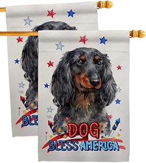 Patriotic Blue Dachshund House Flag Set
