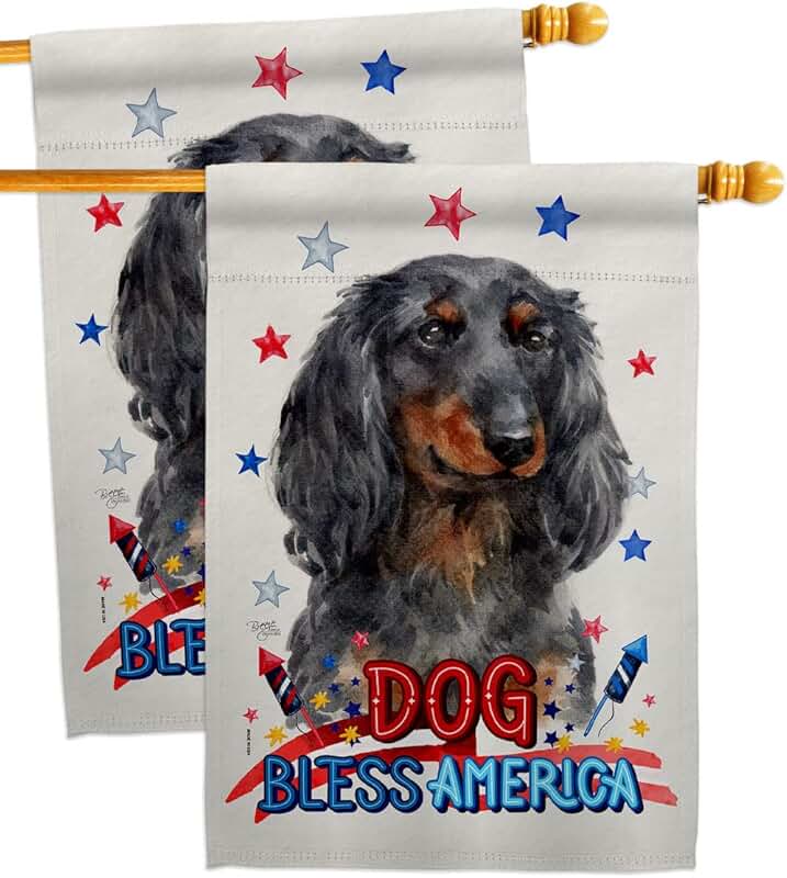 Patriotic Blue Dachshund House Flag Set