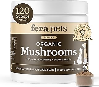 Mushroom Supplement for Dogs & Cats with Turkey Tail