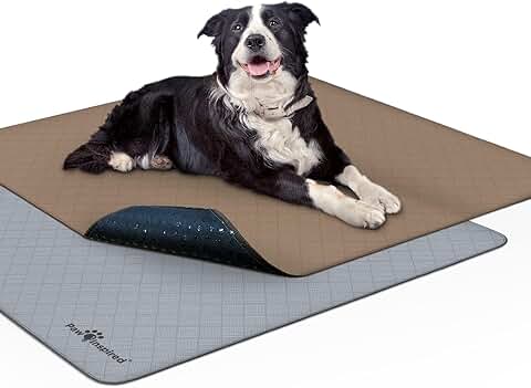 Washable Leakproof Puppy Pads for Potty Training (2 Pack)
