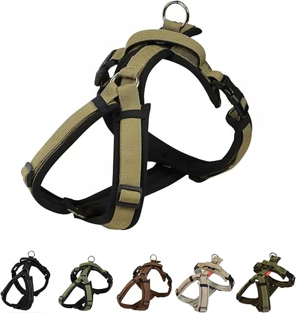Adjustable Padded No-Pull Dog Harness for Small and Medium Dogs