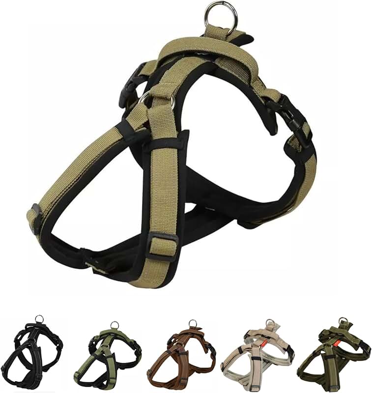 Adjustable Padded No-Pull Dog Harness for Small and Medium Dogs