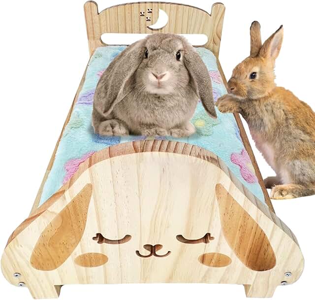 Bunny Series Bundle with Interactive Toy and Wooden Bed