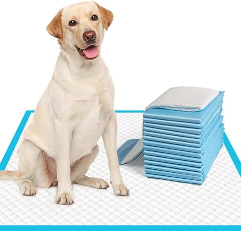 Large Dog Pee Pads 28"x30" - 50 Count