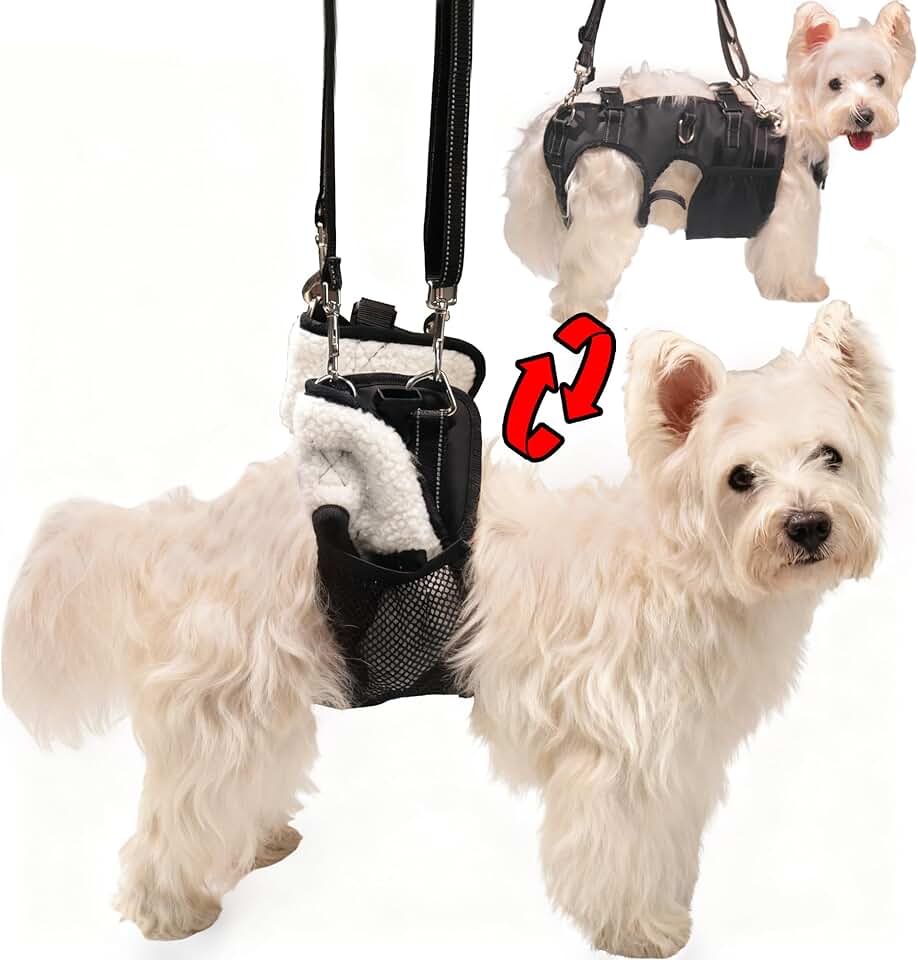 Dog Lift Sling for Small Dogs, Hip and Leg Support
