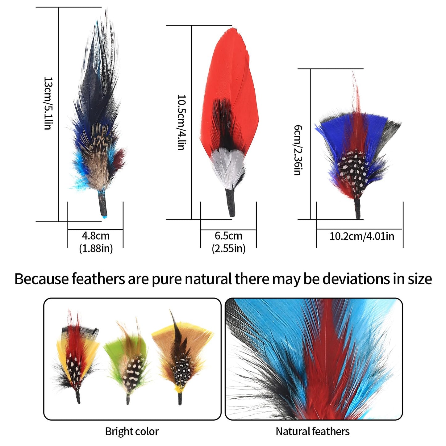 12 Natural Assorted Hat Feathers for DIY and Decorations
