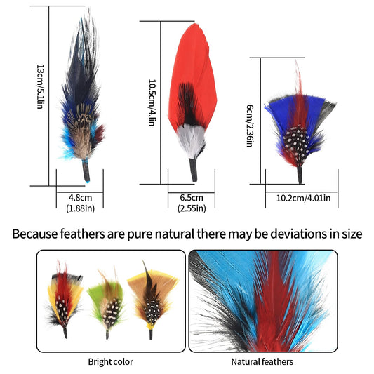 12 Natural Assorted Hat Feathers for DIY and Decorations