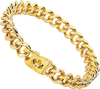 Gold Metal Dog Chain Collar with Secure Buckle