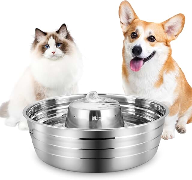 Large Stainless Steel Dog and Cat Water Fountain
