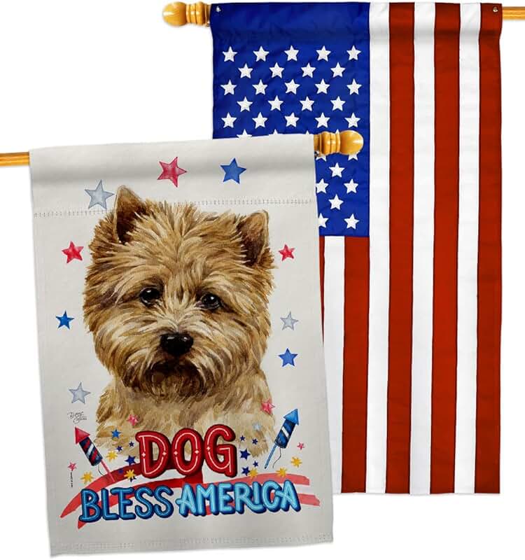 Patriotic Dog House Flag Pack for Garden Yard