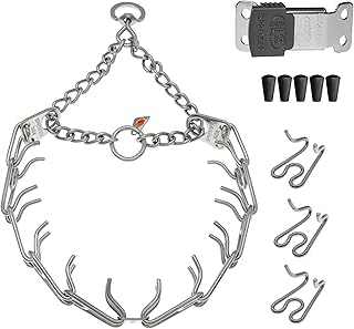 Stainless Steel Prong Dog Collar with Quick Release