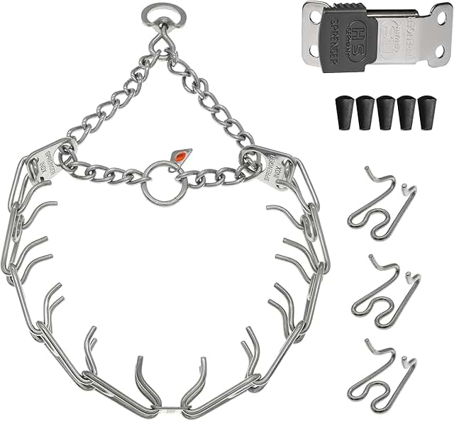 Stainless Steel Prong Dog Collar with Quick Release