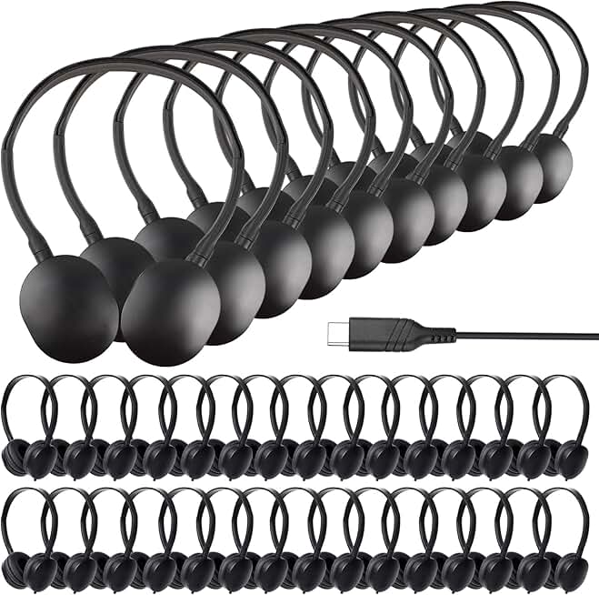 Bulk USB C Kids Headphones for School, 12 Pack