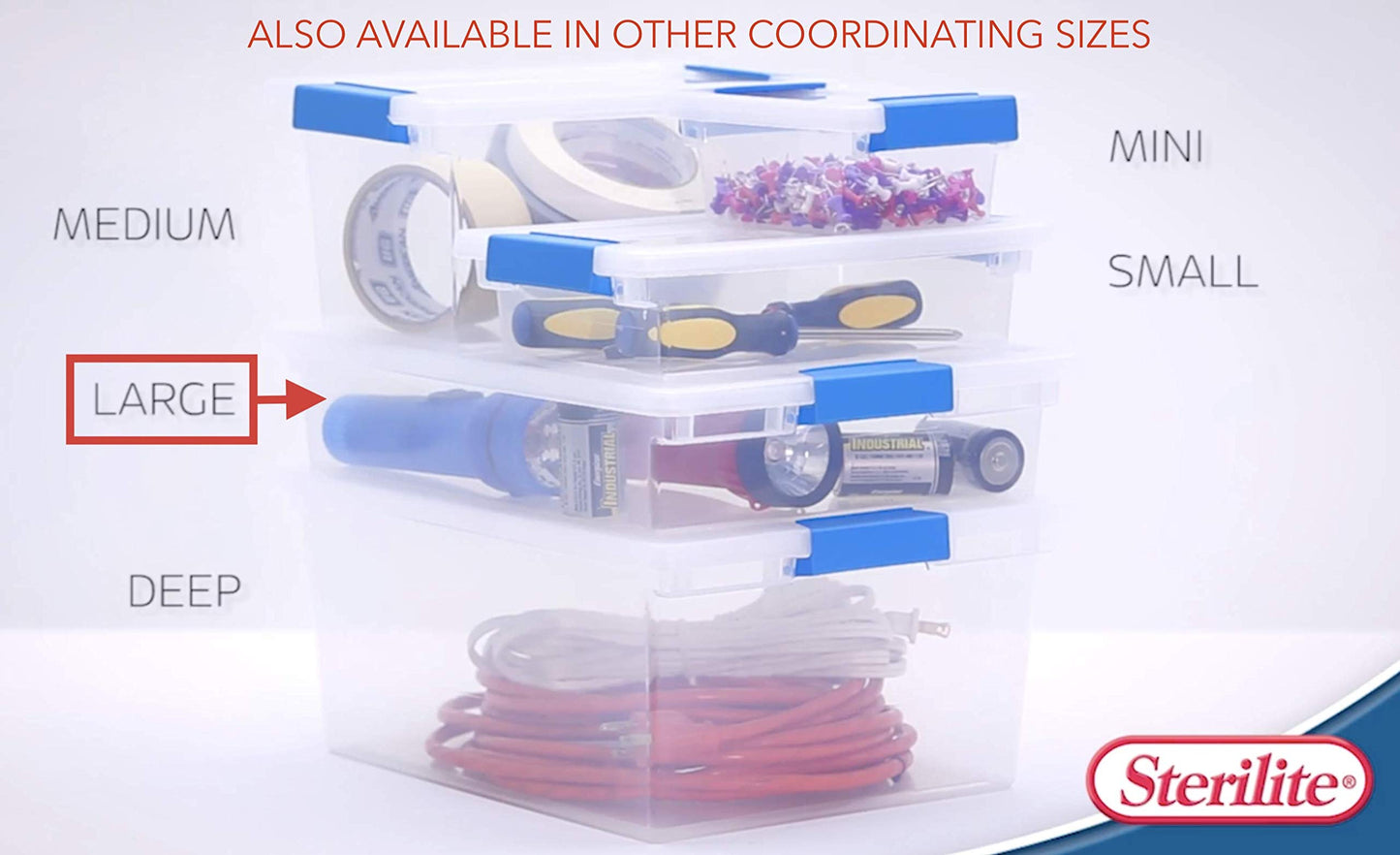 Large Clear Clip Box with Blue Latches, 2 Pack