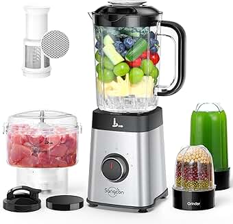 5-in-1 Kitchen Blender and Food Processor with 40 oz Jar