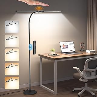 Dual Head LED Floor Lamp with Gesture Switch and Remote