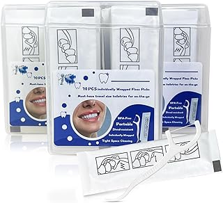 Bulk Travel Floss Picks with Storage Cases