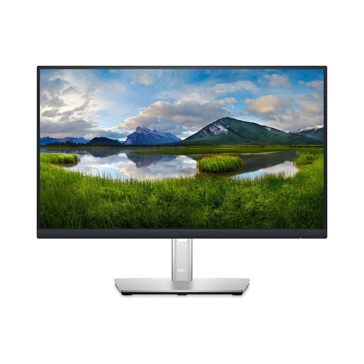 22 Monitor - P2222H - Full HD 1080p, IPS Technology