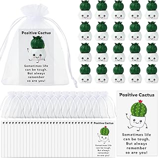20 Positive Cactus Cards and Gifts Set