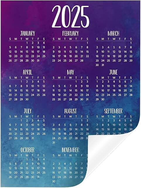 Watercolor 2025 Year-at-A-Glance Calendar Sticker