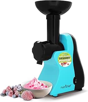 Electric Frozen Fruit Dessert Maker with Accessories