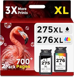 Black ink cartridge replacement for Canon printers, 2-pack