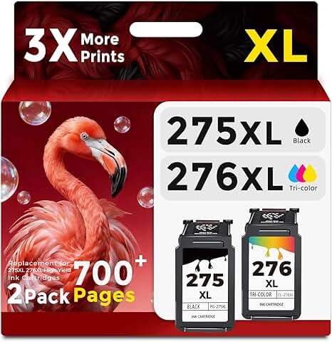 Black ink cartridge replacement for Canon printers, 2-pack