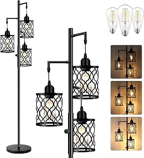 Dimmable Farmhouse Floor Lamp with 3 LED Bulbs
