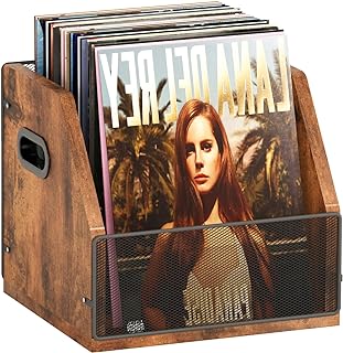 Vinyl Record Storage Box Holds 60 Records