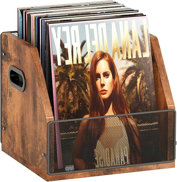 Vinyl Record Storage Box Holds 60 Records
