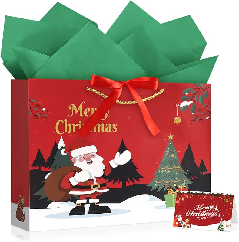 Large Christmas Gift Bag with Ribbon and Card